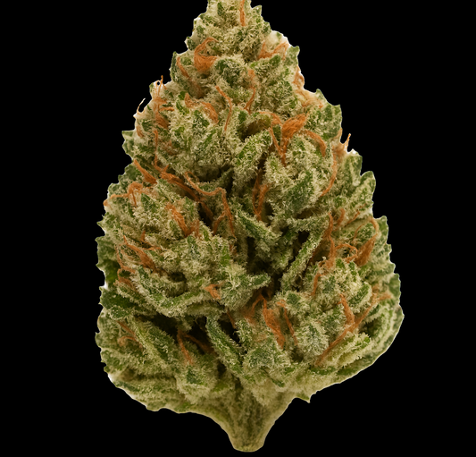 CBD White Widow Premium CBD Flower