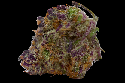 CBD Purple Haze Premium CBD Flower