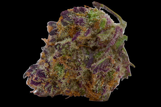CBD Purple Haze Premium CBD Flower